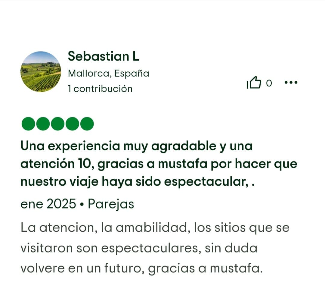 Captura de reseña de Tripadvisor 2