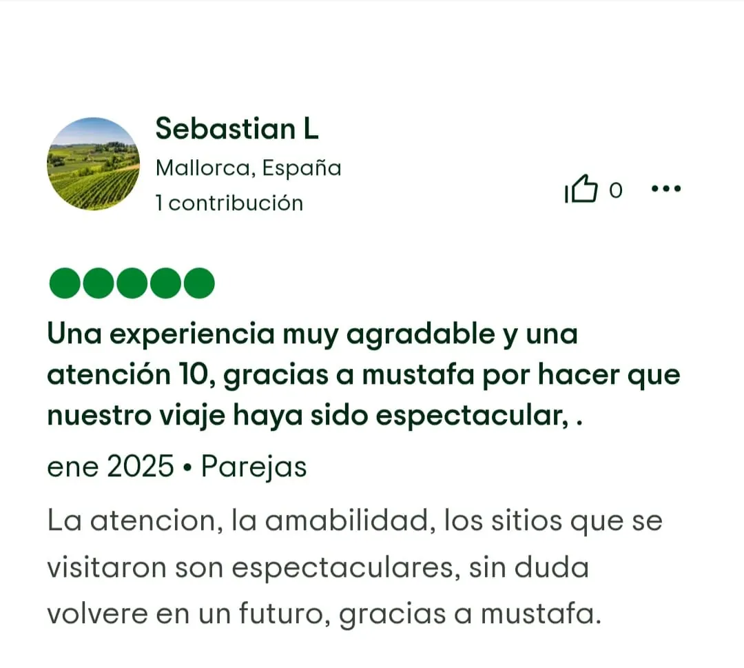 Captura de reseña de Tripadvisor 2